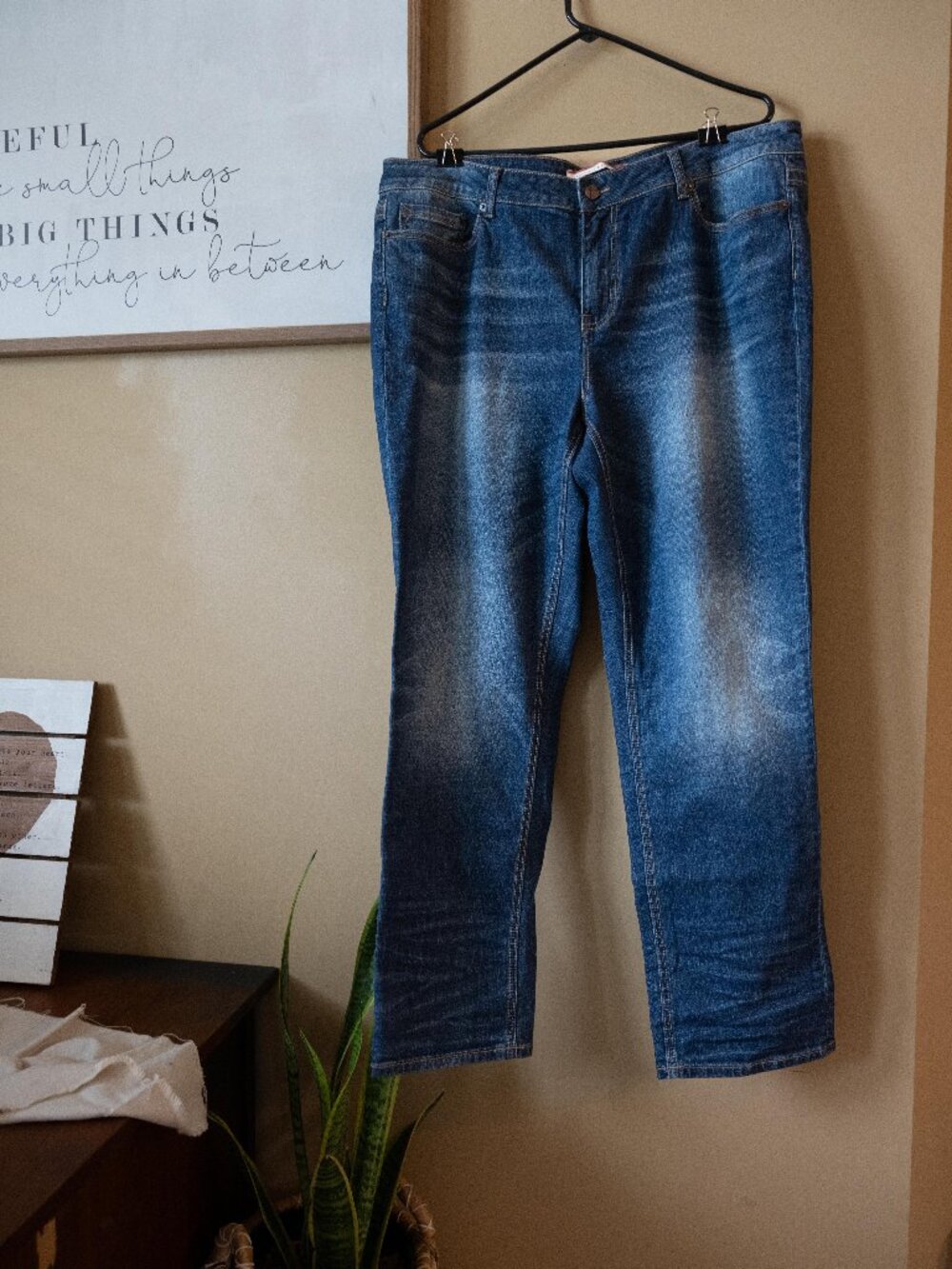 NWOT Standards & Practices Straight Leg Jeans size 20